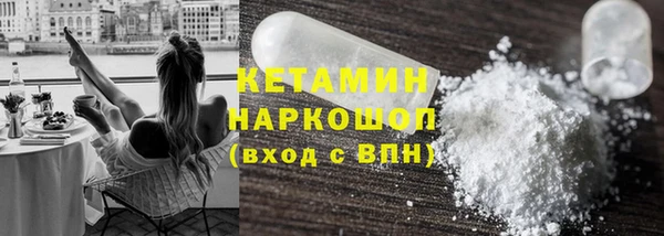 шишки Дмитровск